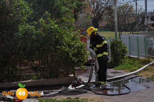 fireshekonatelarab (8).JPG